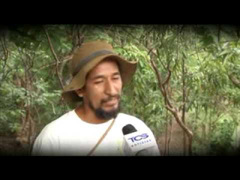 Lanzan estrategia de biodiversidad