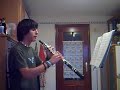 concierto para oboe mozart   adagio 