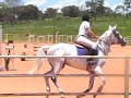 J�lia no Hipismo