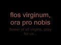 Ave Dulcissima Maria   -  Carlo Gesualdo