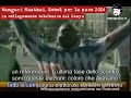 http://www.beppegrillo.it