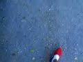 gilera runner