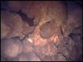 Catacombes of Paris