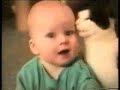 Videos Chistosos de gatos