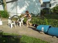 Brodie Agility AFter 7 weeks
