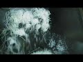 Www.CosmeSoap.com - Organic Soap Manufacturing Process