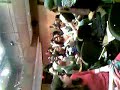nyu-panel-on-illegal-immigration-or-lots-of-loud-noise.html