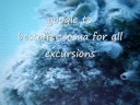 sosua excursions sosua excursies sosua excursions