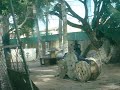 PAINTBALL NO ALVO - FORTALEZA/CE - PARTE 1