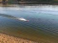 RC Boat Hydroplane H&M Viper Brushless Lehner 1920/8