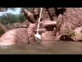 Far Cry 2 FDJV - Gamersyde Gameplay Footage #1 (no sound) Far Cry 2 FDJV - Gamersyde Gameplay Footage #1 (no sound)