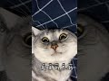 2019年12月17日