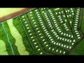Click to View : Buffalo Hills Leisure and Golf Village, Thika