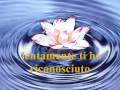 videos de UN FIORE UNICO ( un fiore lo fa )
