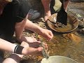 Found Gold in Colorado