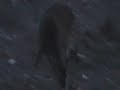 Planetarium (video 4)