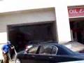 Bently de los brasucas p.utos