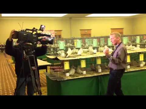 grand national results