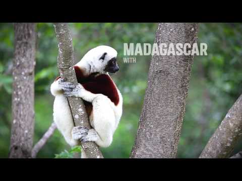 Madagascar with Rainbow Tours