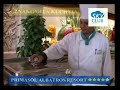 PrimaSol Albatros Resort - Egipt - Hurghada