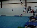 Harleigh gymnastics 2