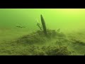 Sea Bed