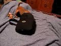 Pickpocket 101 with Greven Part II Pickpocket 101 with Greven Part II