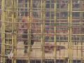 Batista VS The Great Khali Punjabi Prison No Mercy 07 Part 2 Batista VS The Great Khali Punjabi Prison No Mercy 07 Part 2
