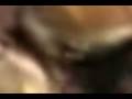 Speed Video #2 - Eine Symphonie des Grauens