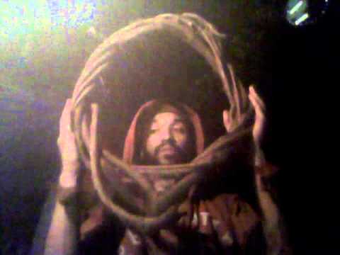 how to harvest grape vines for wreaths
