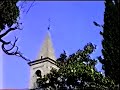Cipresso di San Francesco Villa Verucchio - Rn - doc 1989