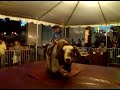Bull Riding, Dutchess Cty Fair -- JohnCronin.Net