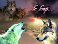 les animaux menac�s