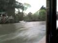 3° video por el tigre