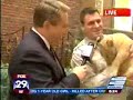 Anima lJunction on Fox29 Good Day Philadelphia Anima lJunction on Fox29 Good Day Philadelphia
