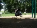 Tire Swingss Tire Swingss