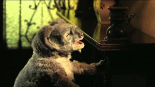 Koalas in Advertising: Getafe
