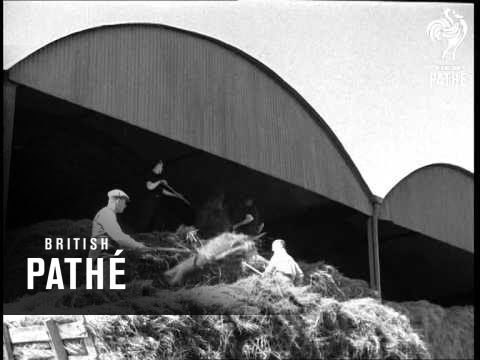 how to harvest flax fiber