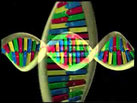 Menezes - La molecola del DNA e il crollo dell'evoluzionismo. Perchè studiando la molecola del DNA si assiste al crollo dell'evoluzionismo? Una molecola chiamata RNA (...