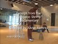 the boogaloo shrimp documentary 2007