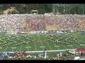 Cal-Band-New-New-Wav