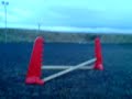 tiny x pole