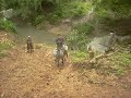 Caminos de la Jungla.AVI