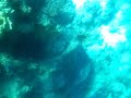 immersioni a Sharm