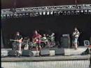 Rainhorses - Landover