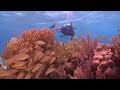 Traveling Through Belize