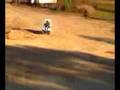 videos de Golfcart hillclimb