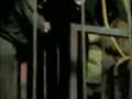 Saddam Execution