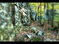 videos de Springdale Natural Park