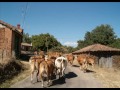 ruta-ribera-del-rbigo-en-bici-de-montaa-torre-ords.html